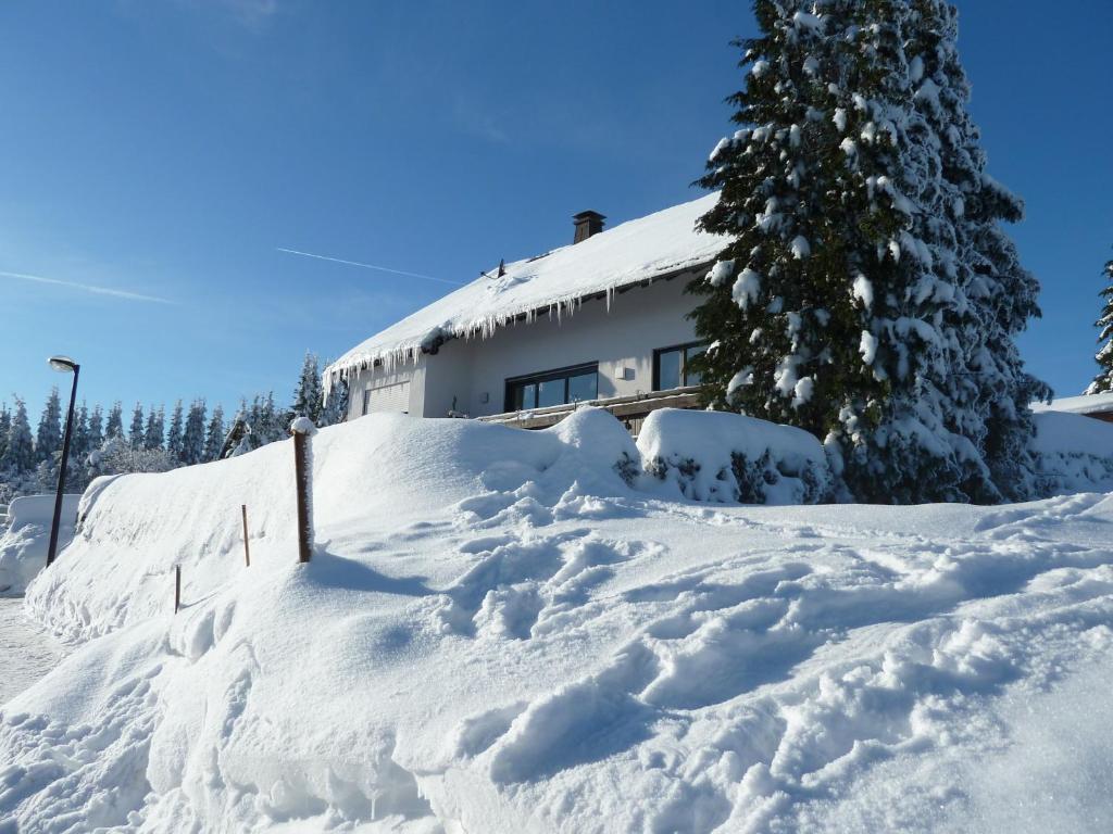 Apartment Jungst Winterberg Bagian luar foto